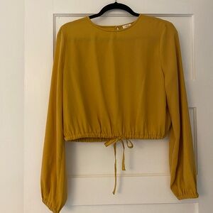 Wilfred Aritzia Gold Eleanora Cropped Blouse